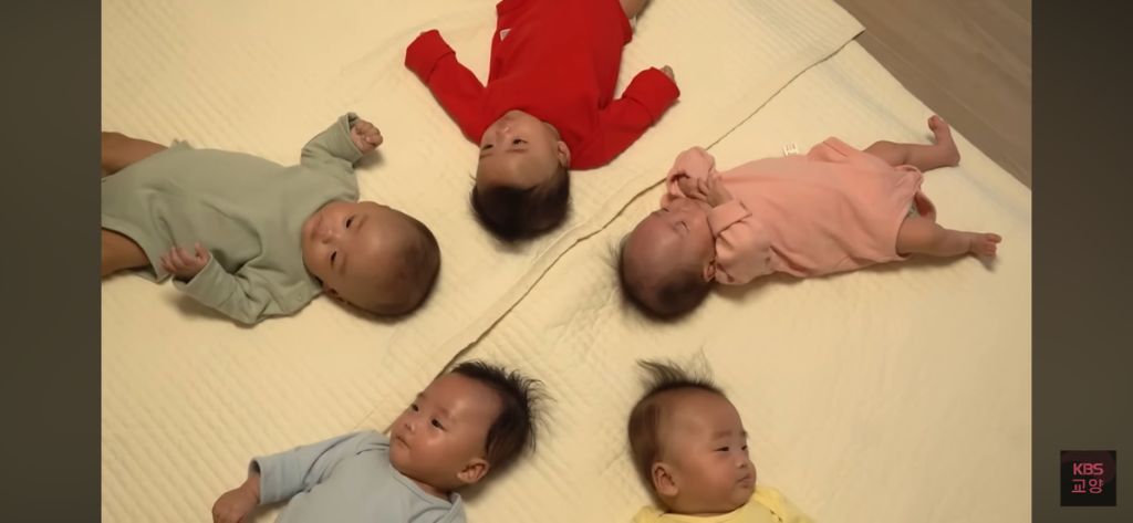 태어나서 처음으로 완전체가 된 다섯 쌍둥이 👶🏻 | 인스티즈