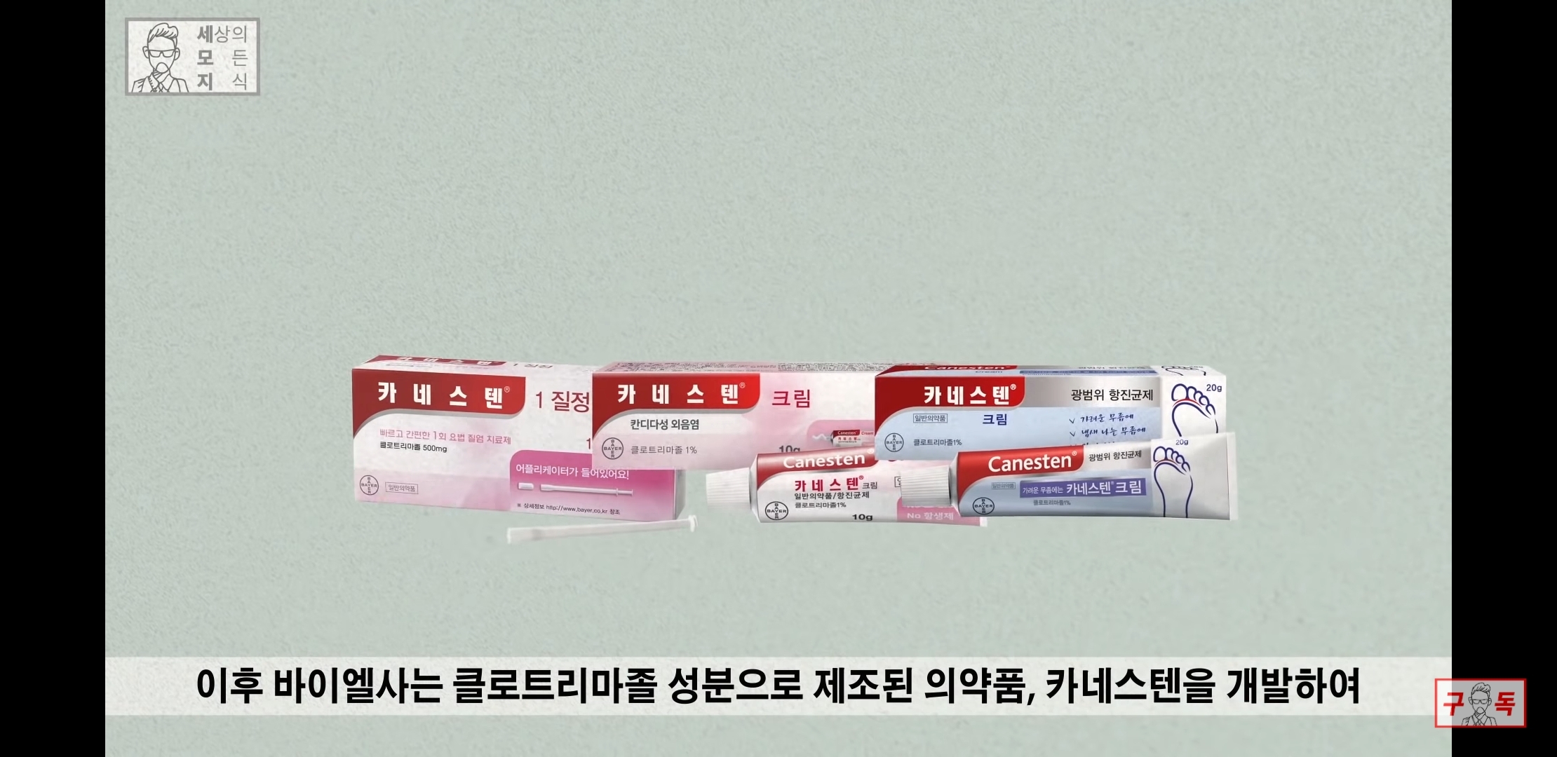 칸디다균의 원리 😠😡🤬 | 인스티즈