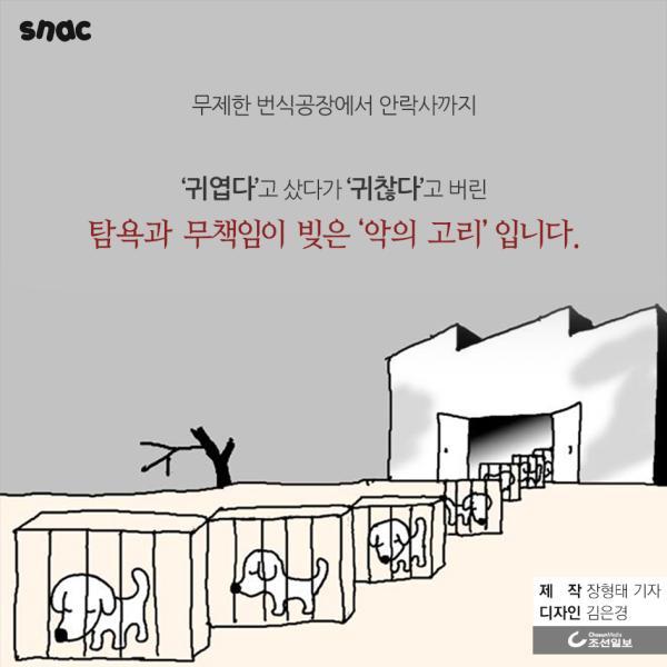 자기 팔에 안락사 주사를 놓은 수의사의 고백 | 인스티즈