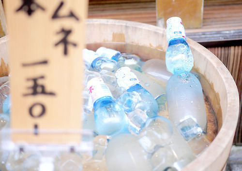  따뜻한 분위기의 일본의 봄 vs 시원하고 청량감있는 일본의 여름 | 인스티즈