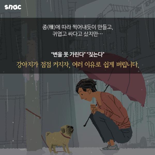 자기 팔에 안락사 주사를 놓은 수의사의 고백 | 인스티즈