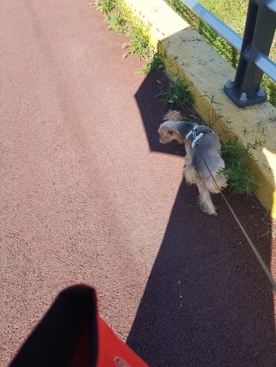 개나 고양이나 사람이나... | 인스티즈