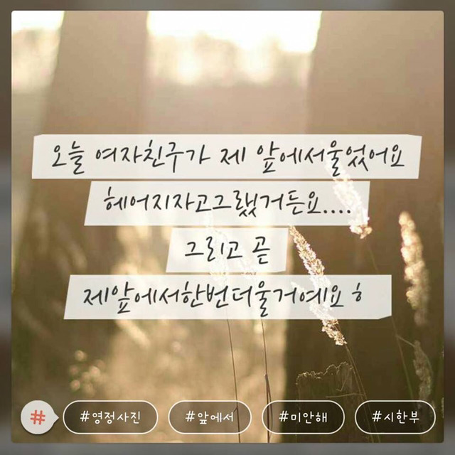 모씨 대환장쇼 모음(손발 너프주의) | 인스티즈