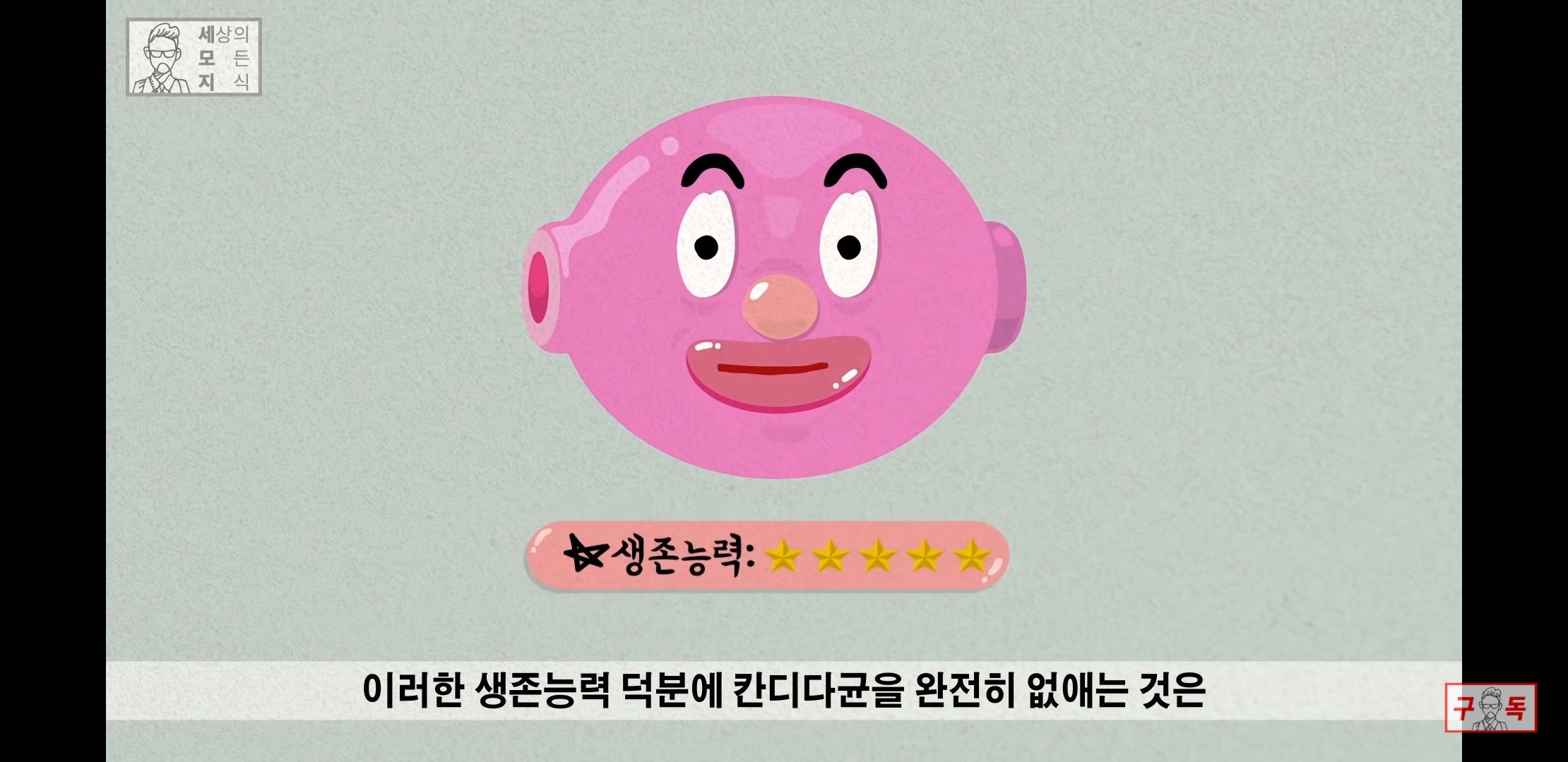 칸디다균의 원리 😠😡🤬 | 인스티즈