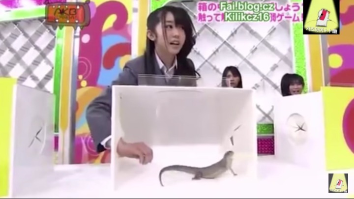 [프듀48] 일본 멤버들이 히든박스를 잘 못하는 이유.jpg | 인스티즈