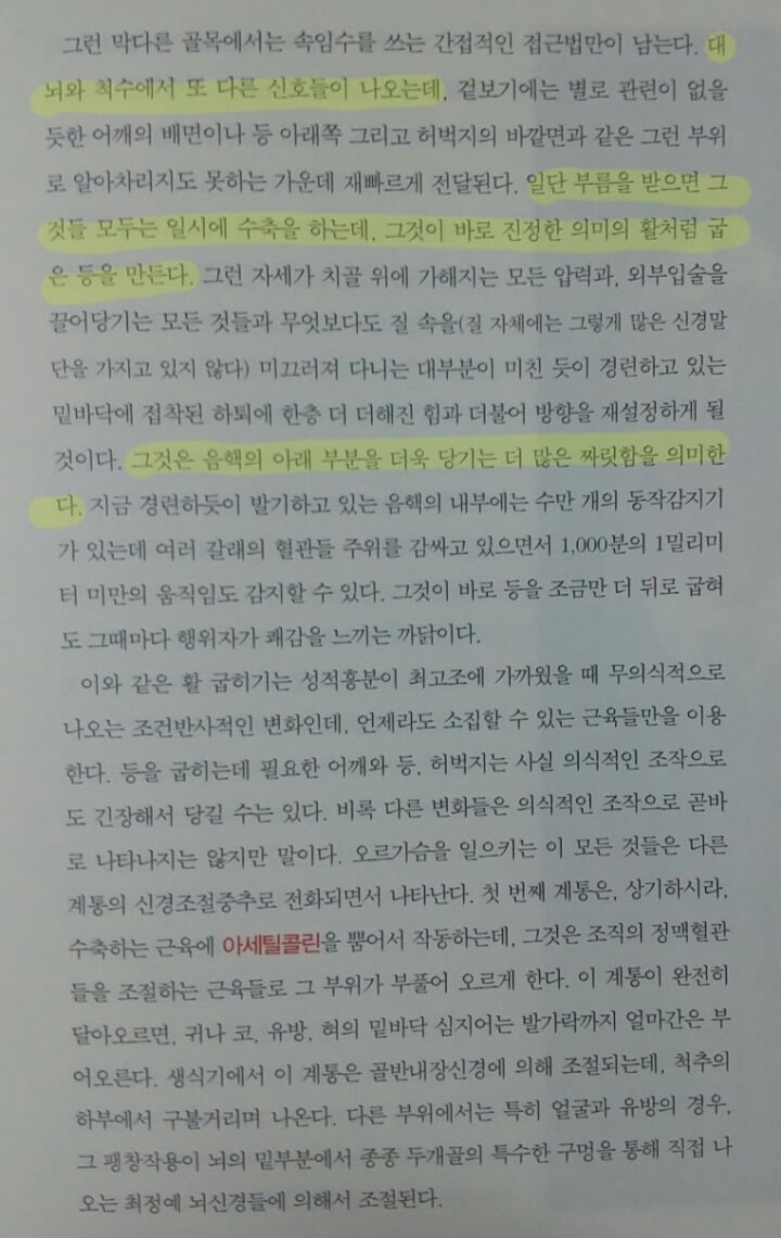 왜 그녀의 허리는 활처럼 휘는가 (성적 쾌감의 원리) | 인스티즈