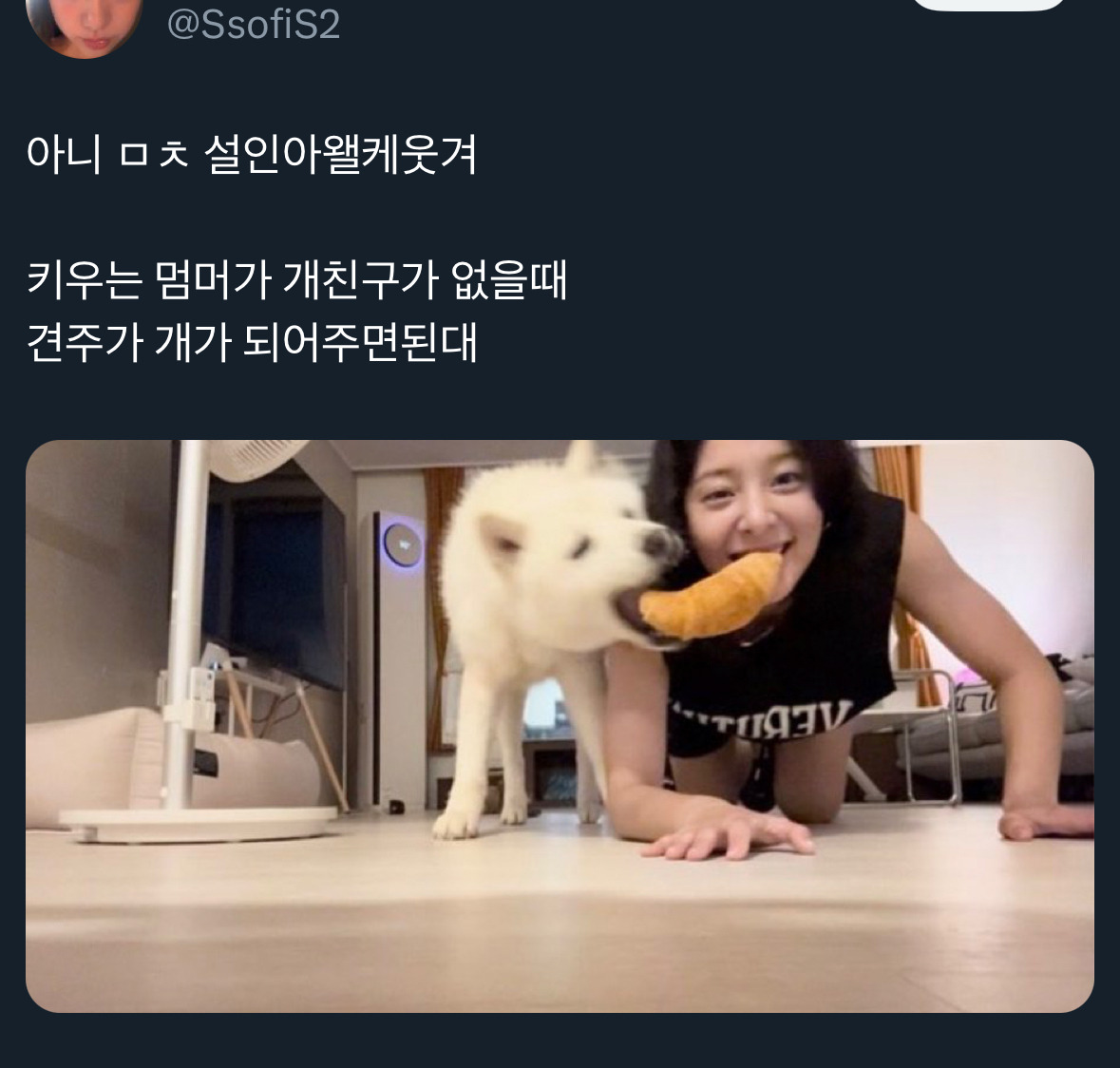 날씨좋~은 때에 보는 트위터 모음🍁 | 인스티즈