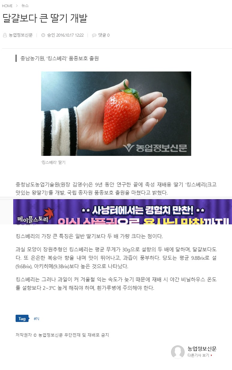 딸기 양손으로 먹는다고 귀척이라 억까 당했던 장원영 | 인스티즈