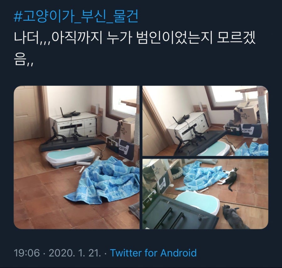 귀엽지 않았으면 멸종당했을 생물.jpg | 인스티즈
