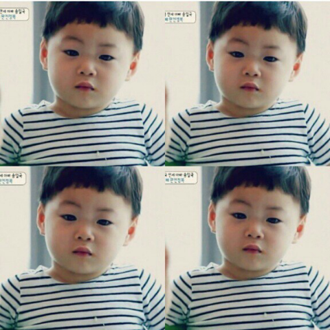 알고보니 이름이 신의 한수 진짜 만세처럼 생긴 송만세ㅋㅋ.jpg(꾸러기상,할무니들이떡하나더줄상) | 인스티즈