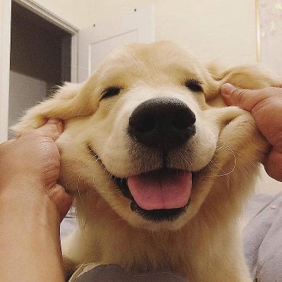 서브웨이 알바 요약.jpg | 인스티즈