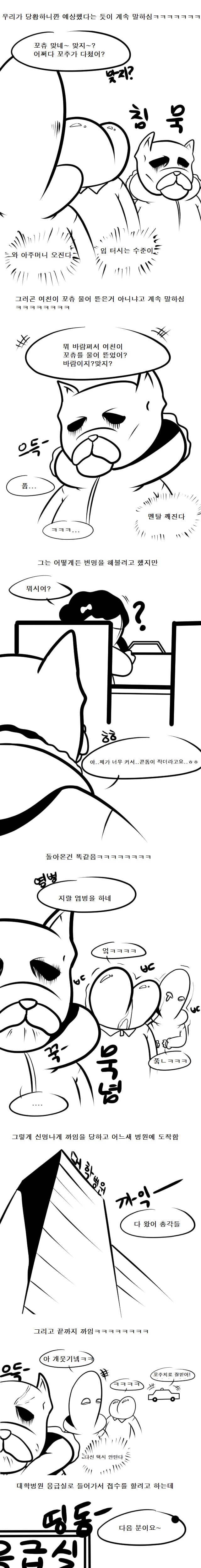 친구 섹ㅅ하다가 꼬추 다쳐서 밤에 병원간 썰.manhwa | 인스티즈