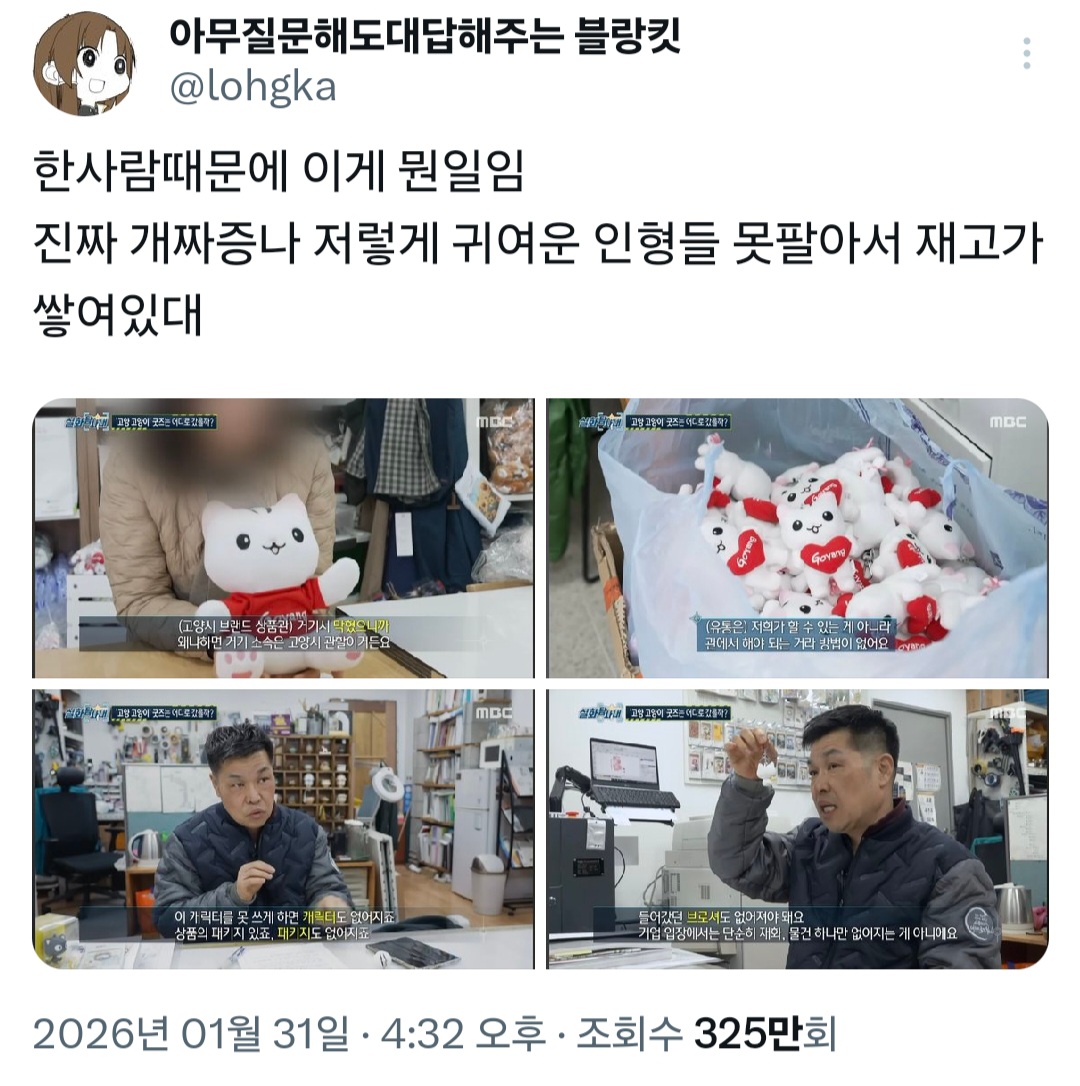 고양고양이 컴백!! | 인스티즈