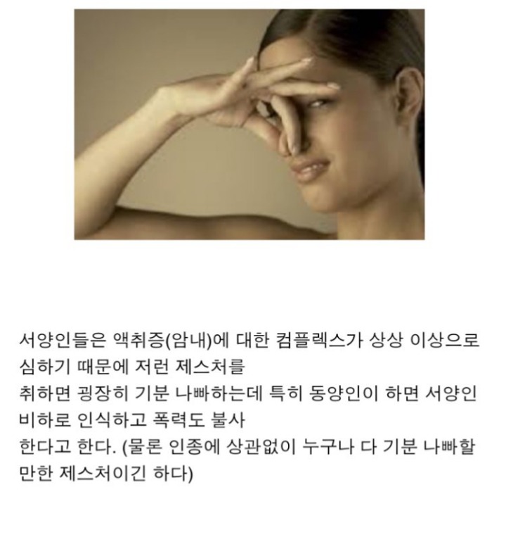 서양에서 아주 싫어한다는 제스처 | 인스티즈