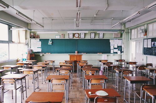  따뜻한 분위기의 일본의 봄 vs 시원하고 청량감있는 일본의 여름 | 인스티즈