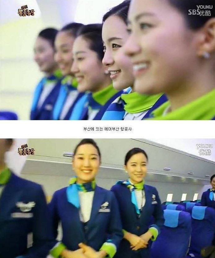 여자만 좋아하는 강아지 | 인스티즈