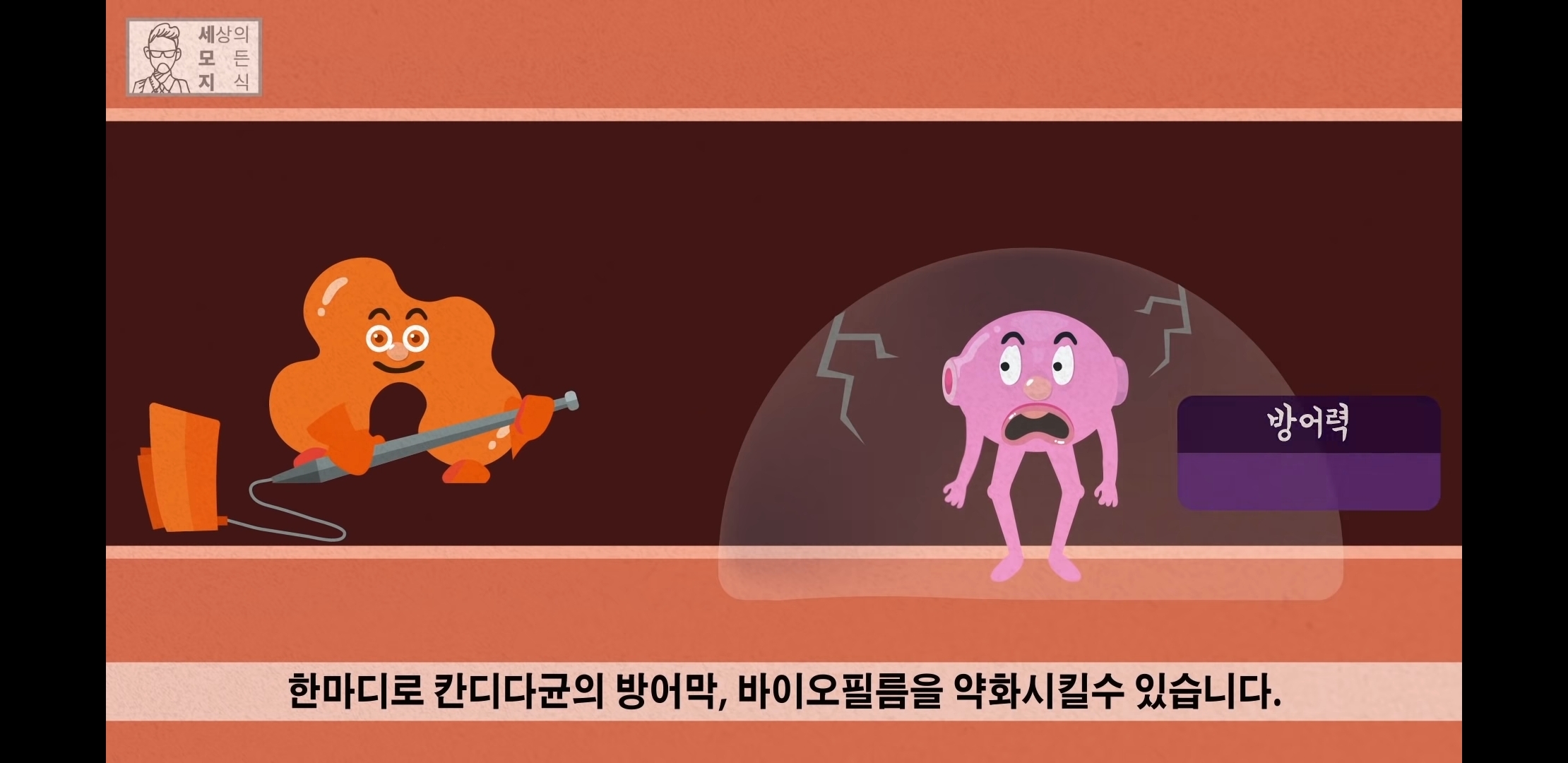 칸디다균의 원리 😠😡🤬 | 인스티즈