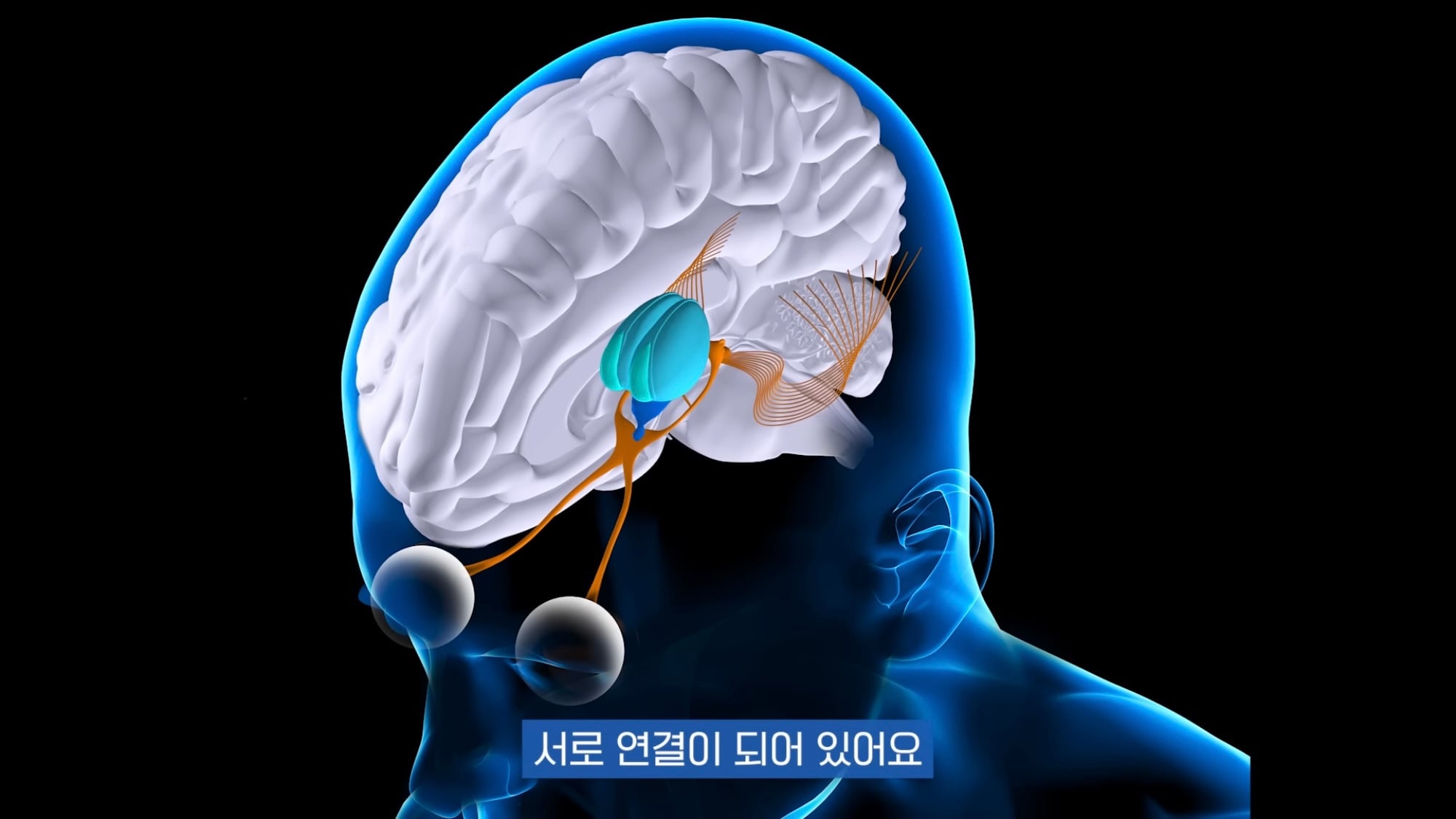 눈이 실명 전 잠깐 보내는 마지막 신호. 이 증상이 보인다면 당장 병원 뛰쳐가세요.jpg | 인스티즈