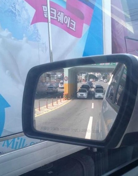 개나 고양이나 사람이나... | 인스티즈