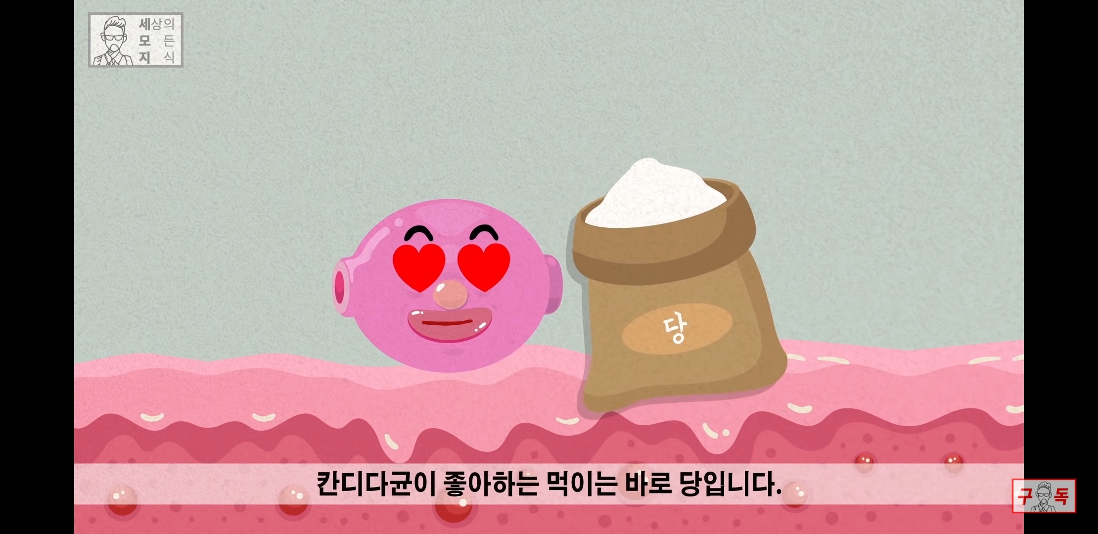 칸디다균의 원리 😠😡🤬 | 인스티즈
