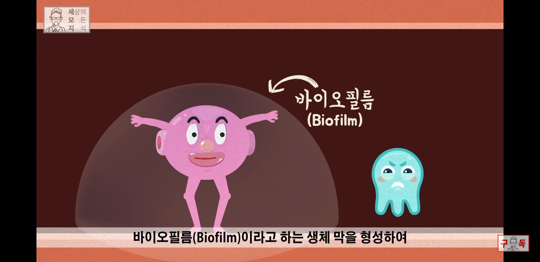 칸디다균의 원리 😠😡🤬 | 인스티즈