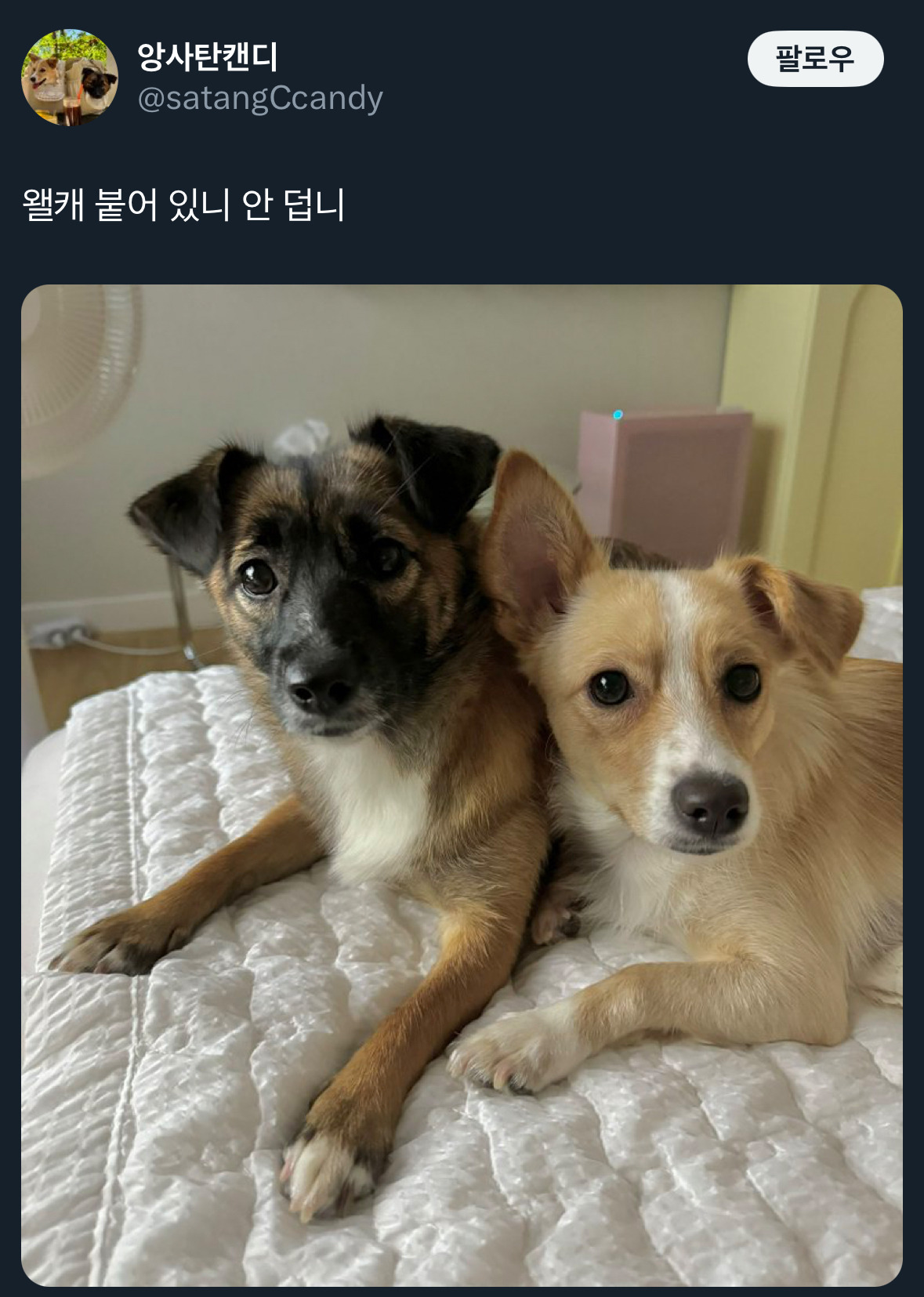 날씨좋~은 때에 보는 트위터 모음🍁 | 인스티즈