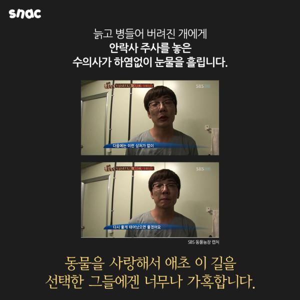 자기 팔에 안락사 주사를 놓은 수의사의 고백 | 인스티즈