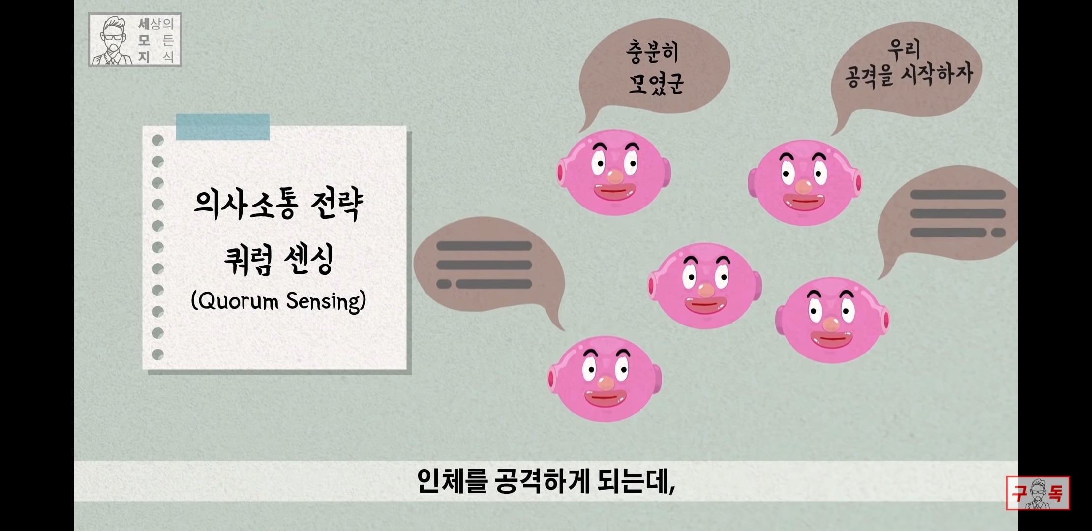 칸디다균의 원리 😠😡🤬 | 인스티즈