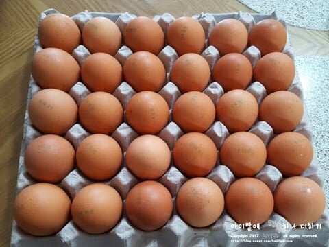 서브웨이 알바 요약.jpg | 인스티즈