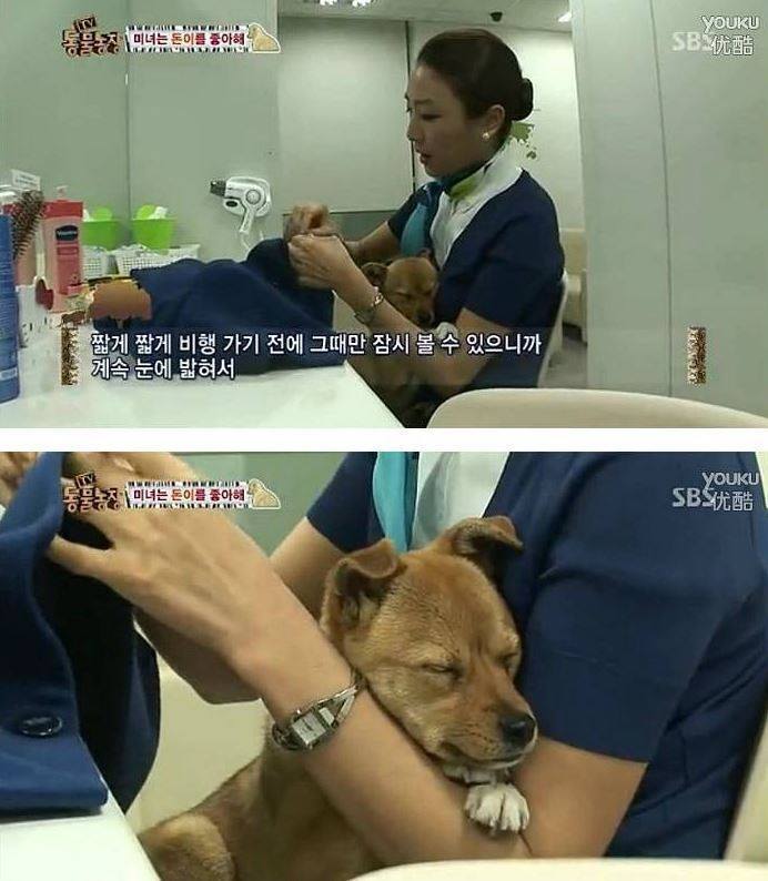 여자만 좋아하는 강아지 | 인스티즈