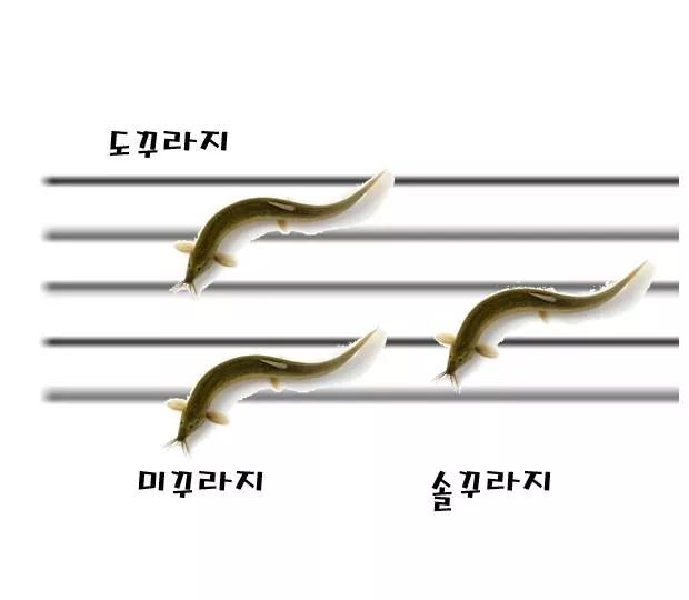 아무말 대잔치 모음 3탄이왔읍니다... | 인스티즈
