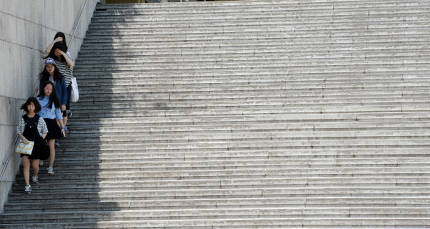 개나 고양이나 사람이나... | 인스티즈