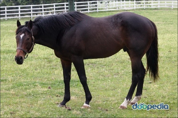 여자로 태어났으면 황제도 해 보고 대차게 살아야 아 정말 여자다운 삶이었다라고 말 할수 있는거야. 상여자의 일대기 씀 | 인스티즈