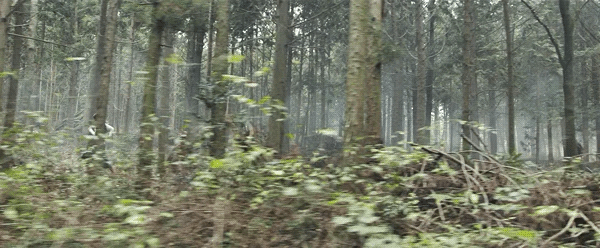 김남길 달리기속도 | 인스티즈