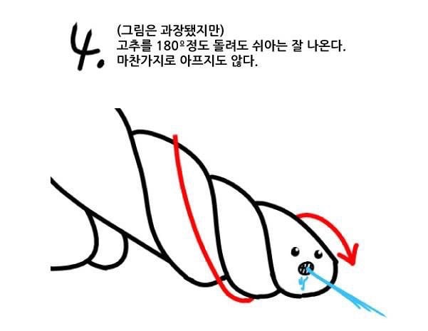 여자는 잘 모르는 꼬추의 비밀 | 인스티즈