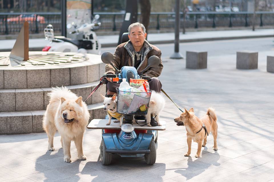 혐오에 지쳤을 때 인류애 충전하는 글 | 인스티즈