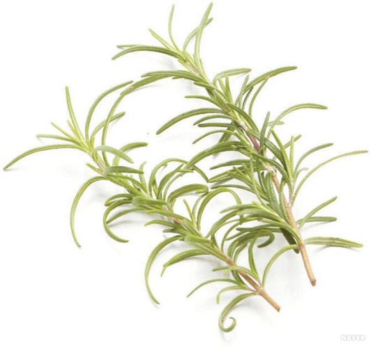 꿈에서 미래의 남편을 볼 수 있는 날 | 인스티즈