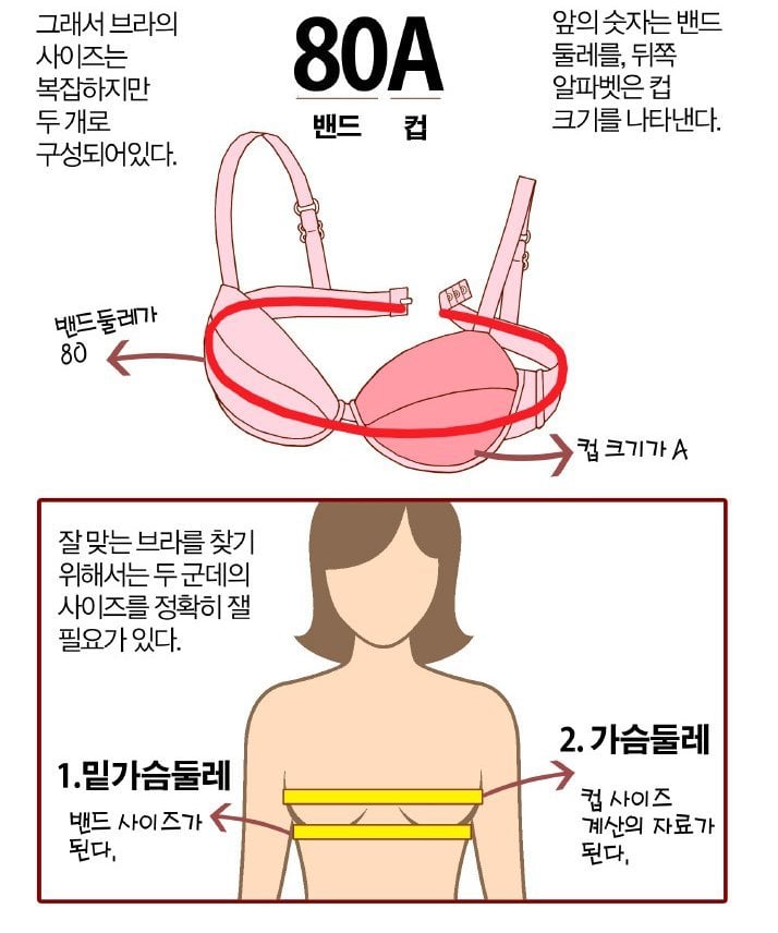 오유에서 일어난 브래지어대란 | 인스티즈
