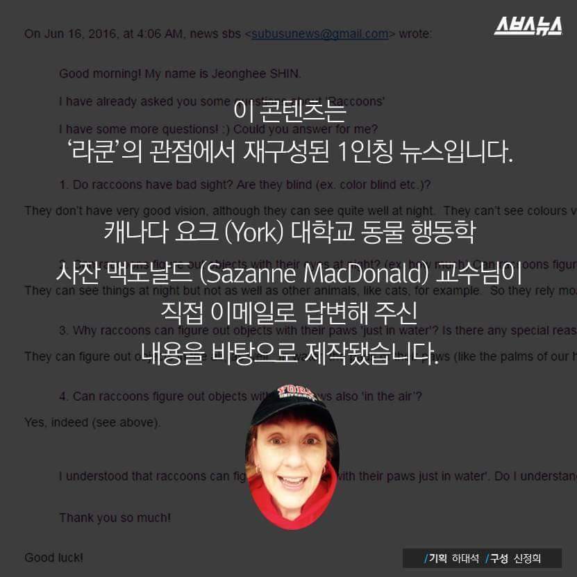 라쿤이 먹이를 물에 씻는 진짜 이유 | 인스티즈