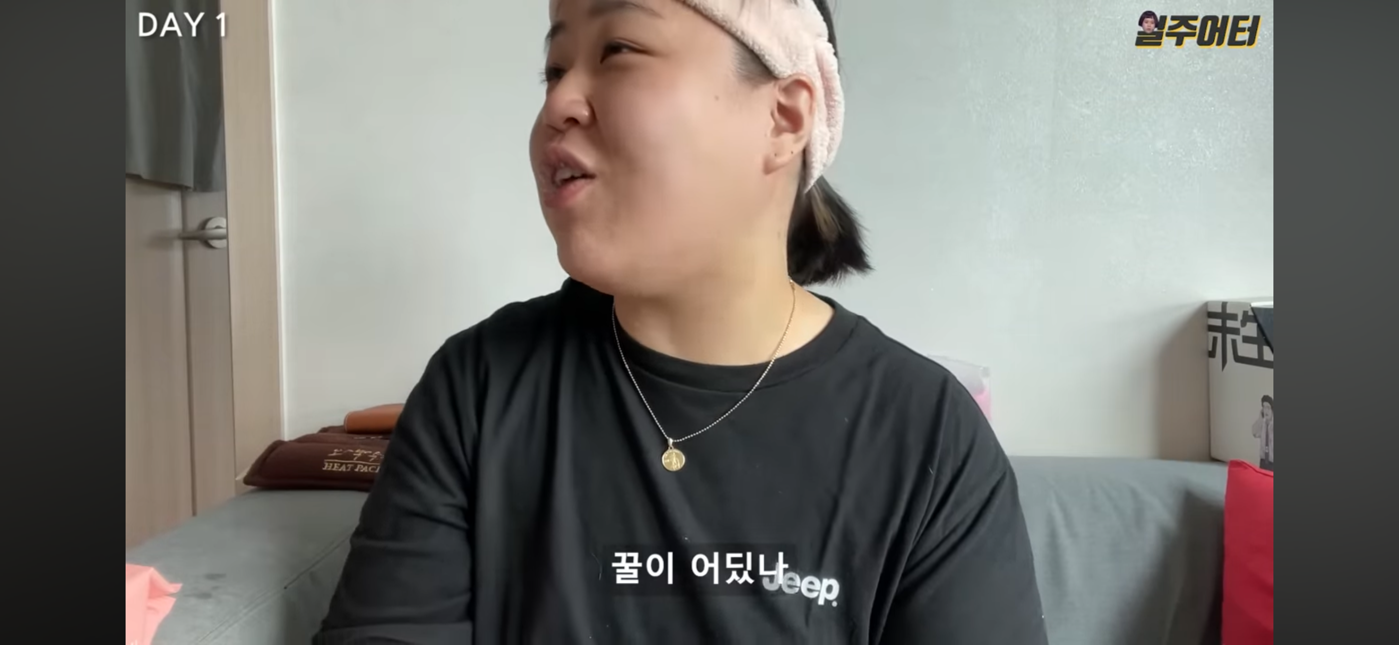 그릭요거트 다이어트 했었던 일주어터 | 인스티즈