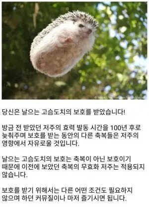 혐주의) 홍대골목에서 발견된 저주인형 | 인스티즈