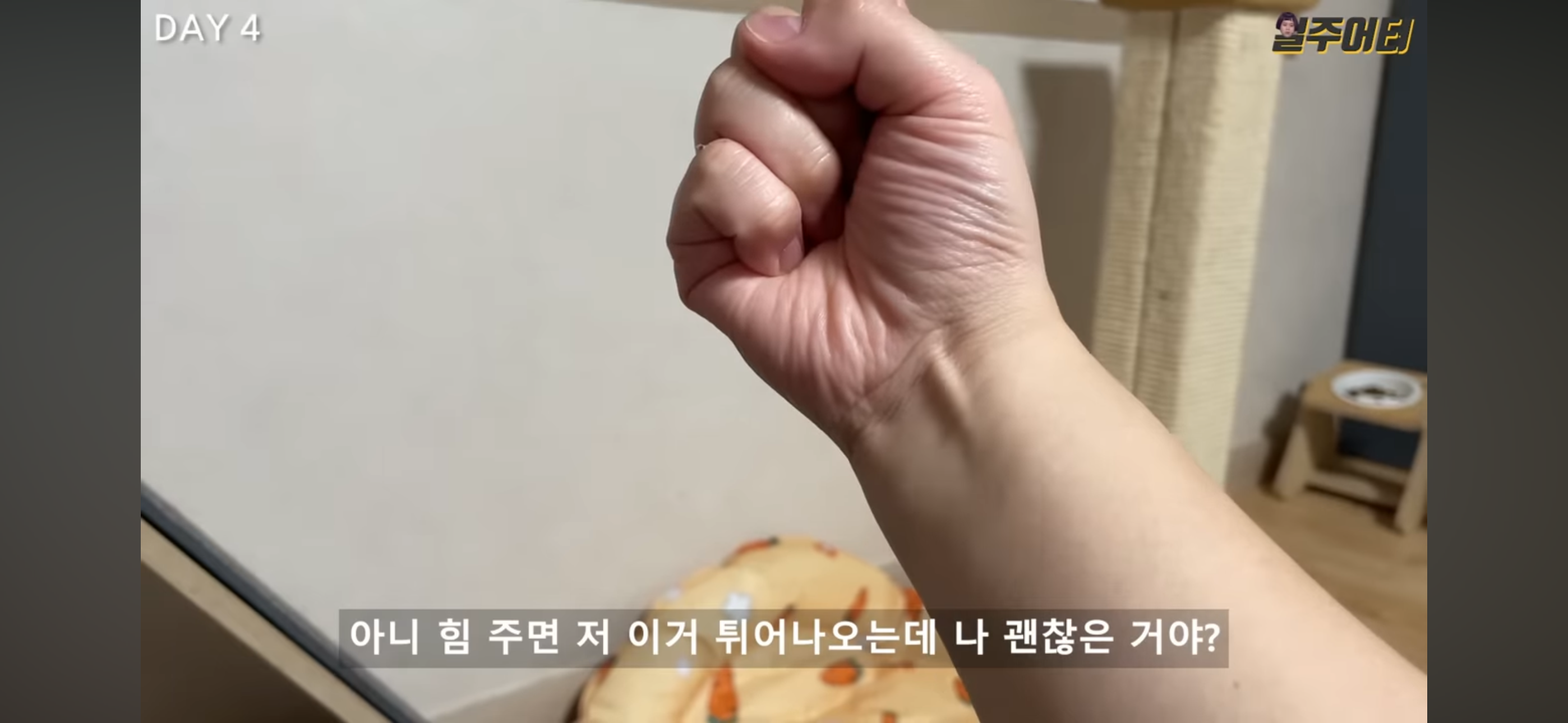 그릭요거트 다이어트 했었던 일주어터 | 인스티즈
