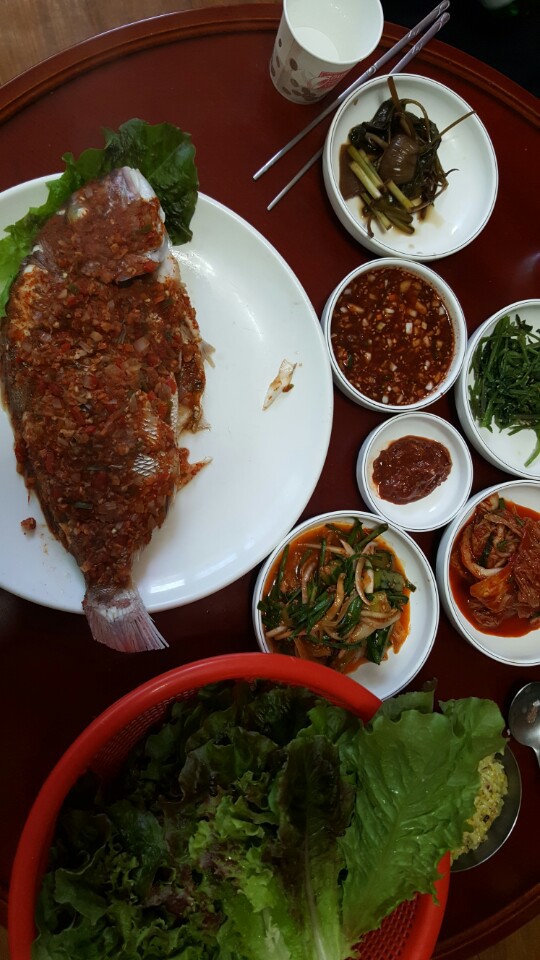 시골바다밥상 (바다 앞에 살면 회 매일 먹는거 진짜야) | 인스티즈