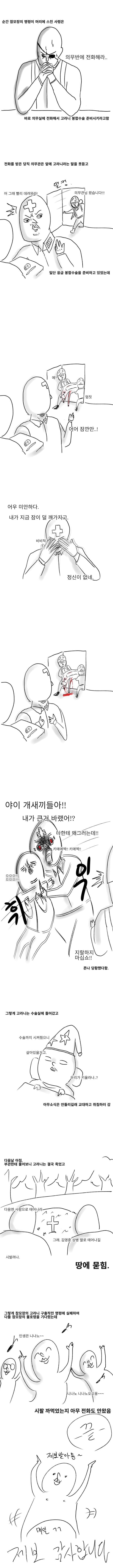 미필은노하이.(feat. 고라니) | 인스티즈