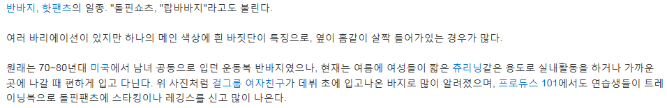 돌핀팬츠란 무엇인가 | 인스티즈