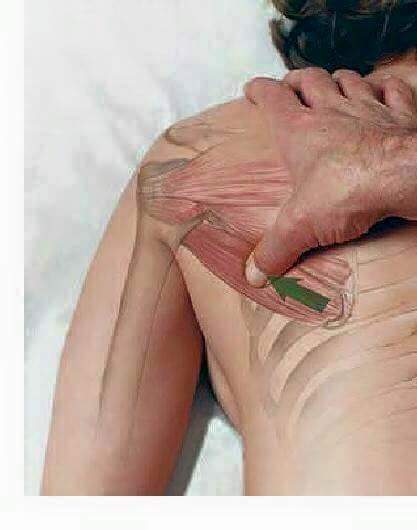 마사지 잘하기.jpg | 인스티즈