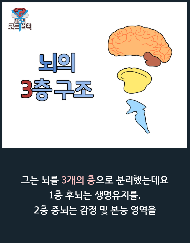 고양이는 하루종일 무슨 생각을 할까? | 인스티즈