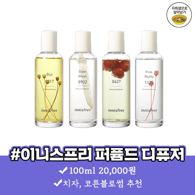 자취방 냄새 잡아주는 향기좋은 디퓨저 best 8 | 인스티즈