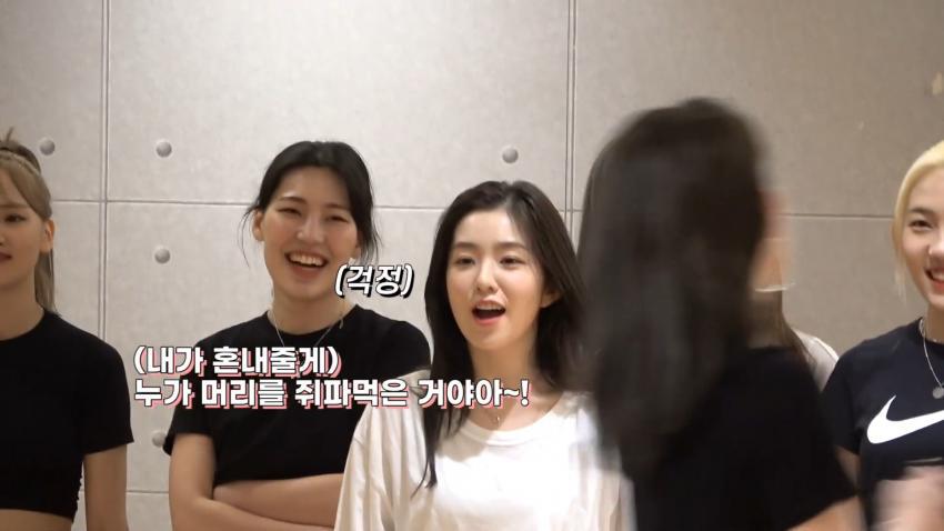 레드벨벳 아이린의 진짜 성격을 볼 수 있는 브이로그 | 인스티즈