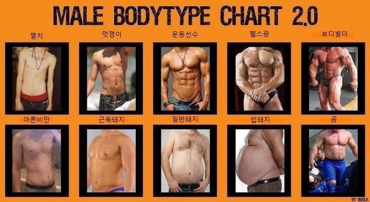 남자 몸 유형 | 인스티즈